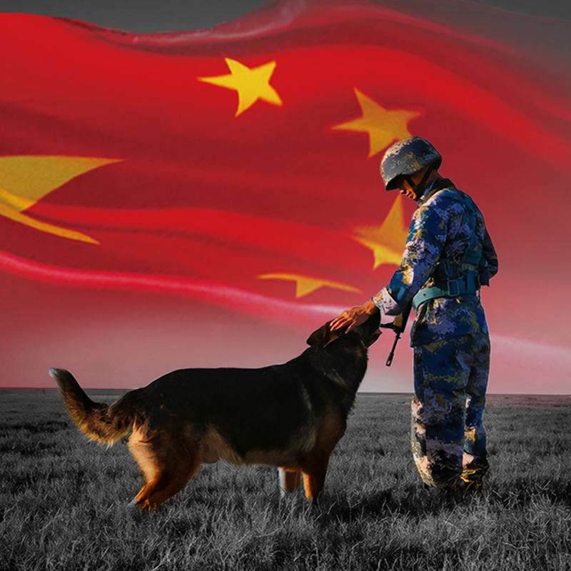 播放