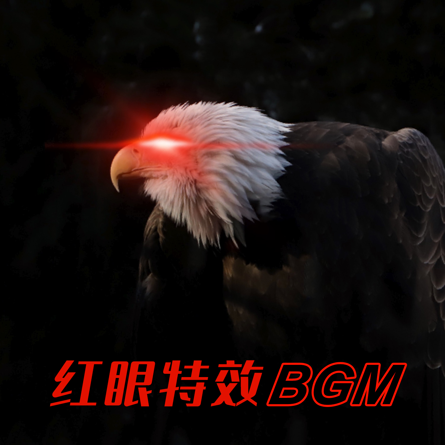 播放